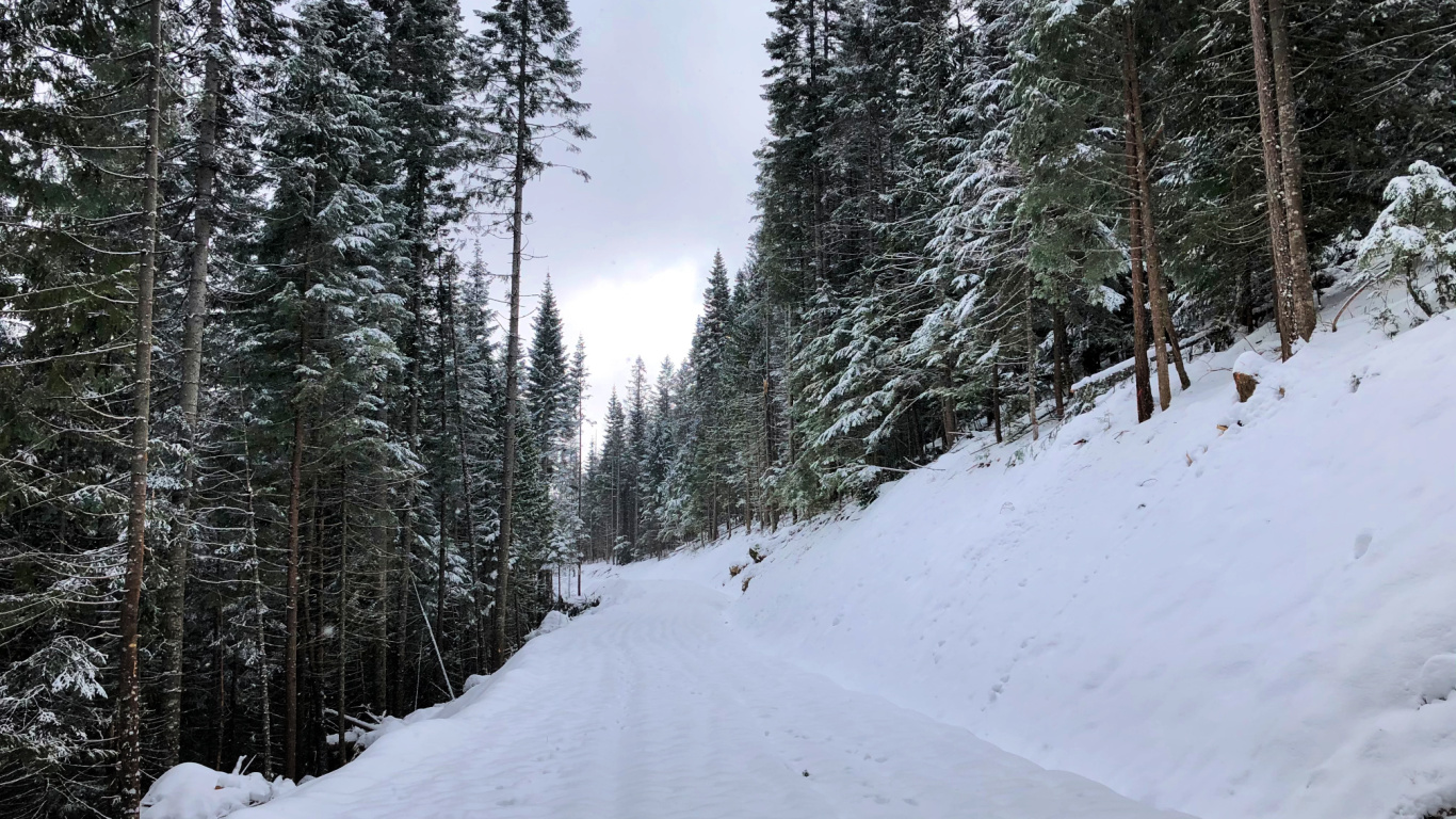 Hoodoo Mountain Adventure and Loadout Kit Badger